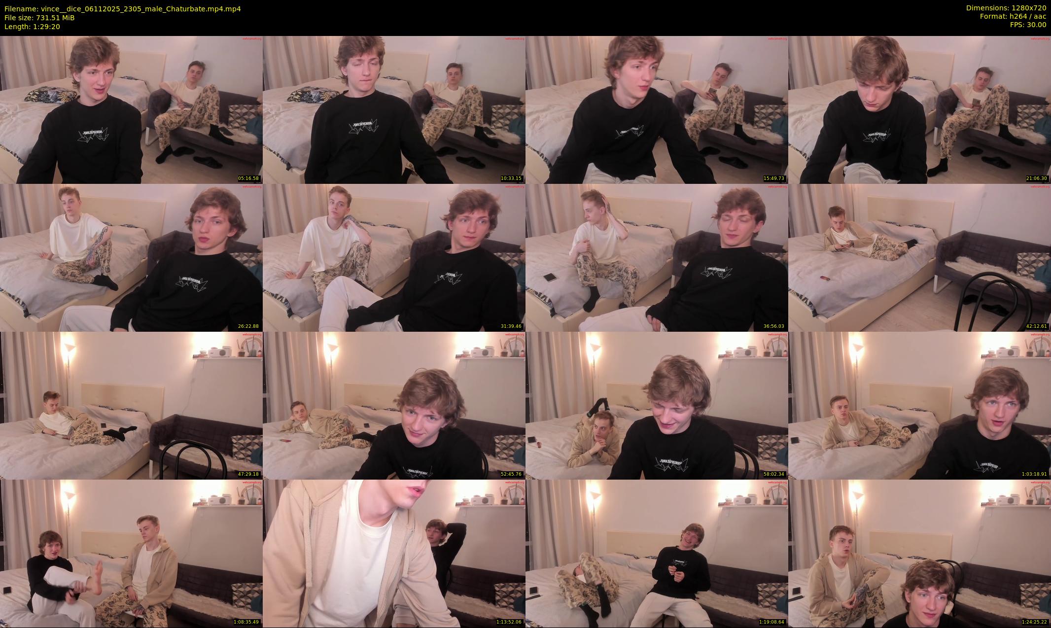 vince__dice — 90 minute Chaturbate male cam show recording, 720p, Nov 6, 2025