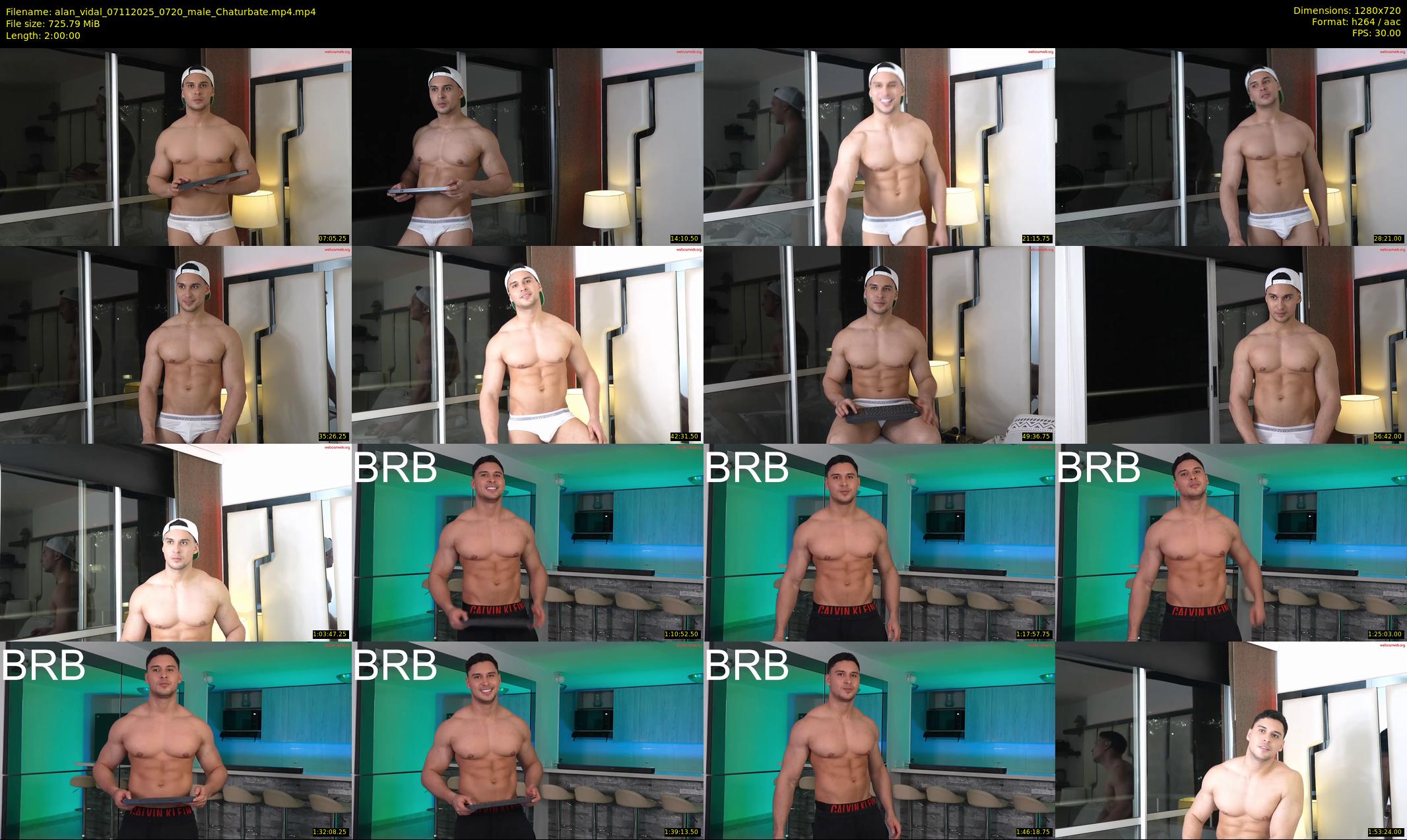 alan_vidal — 120 minute Chaturbate male cam show recording, 720p, Nov 7, 2025