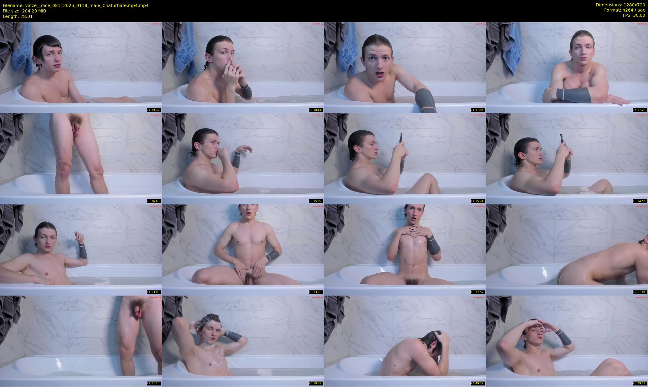 vince__dice — 29 minute Chaturbate male cam show recording, 720p, Nov 8, 2025