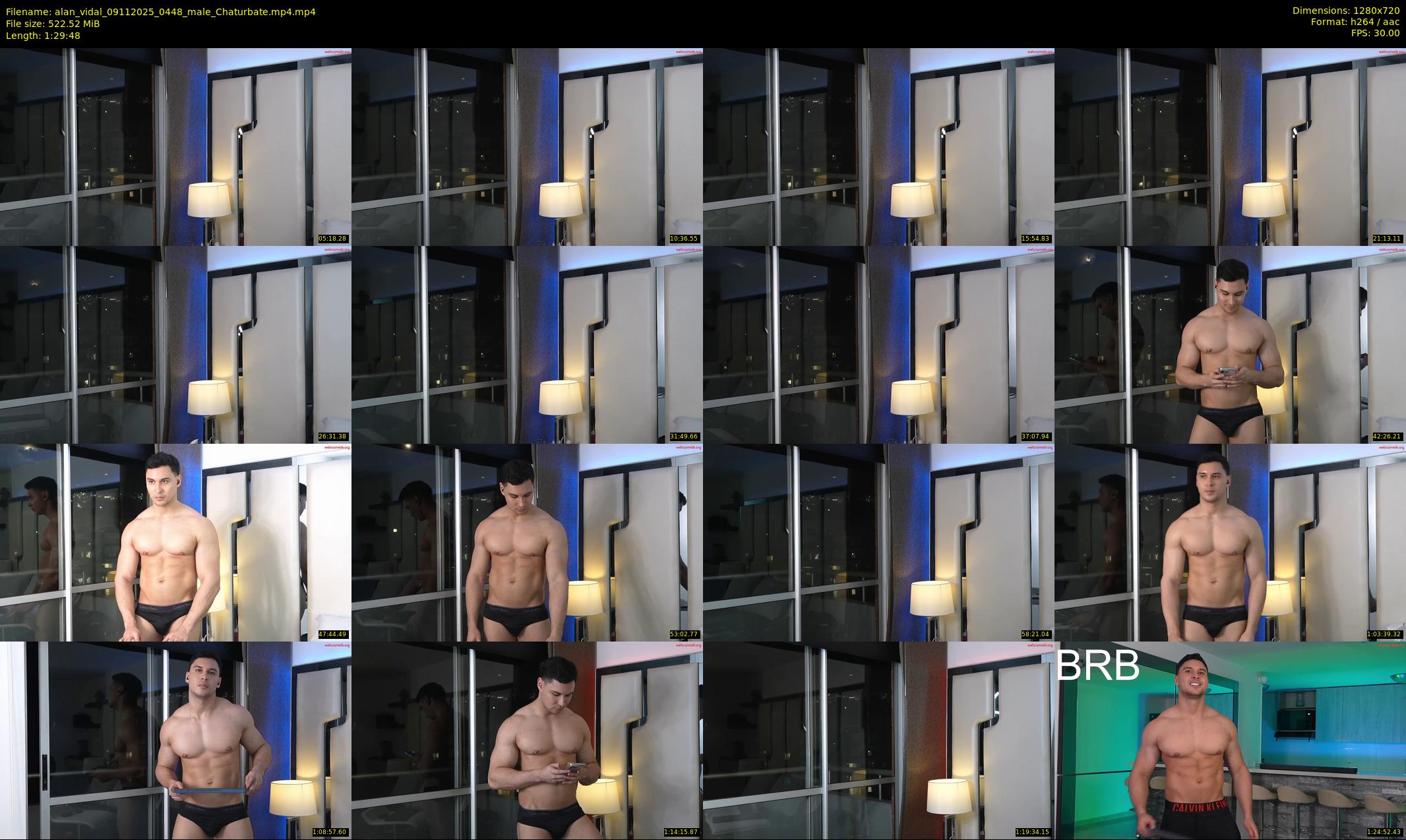 alan_vidal — 90 minute Chaturbate male cam show recording, 720p, Nov 9, 2025