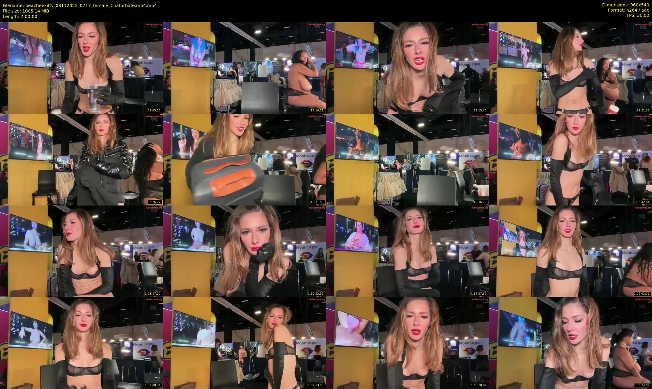peacheekitty — 120 minute Chaturbate female cam show recording, 480p, Nov 8, 2025