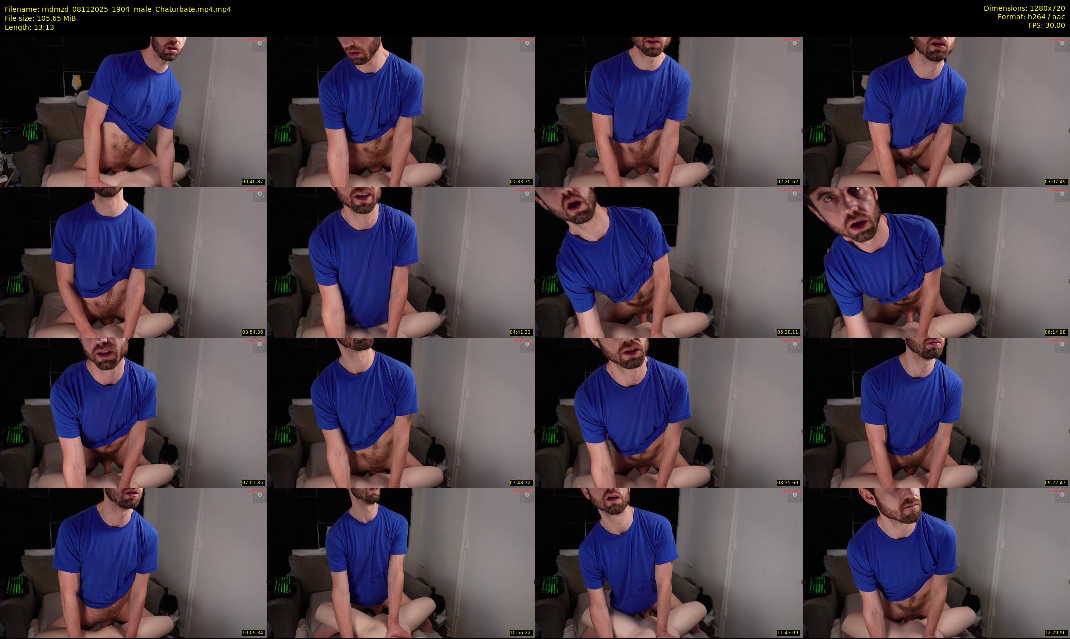 rndmzd — 14 minute Chaturbate male cam show recording, 720p, Nov 8, 2025