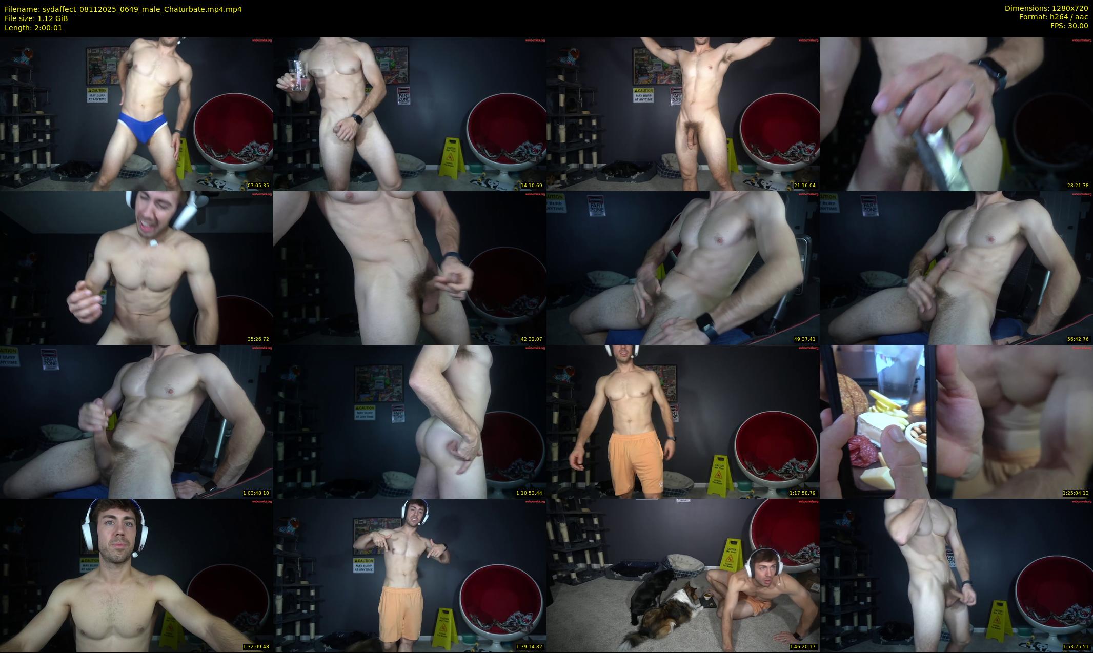 sydaffect — 121 minute Chaturbate male cam show recording, 720p, Nov 8, 2025