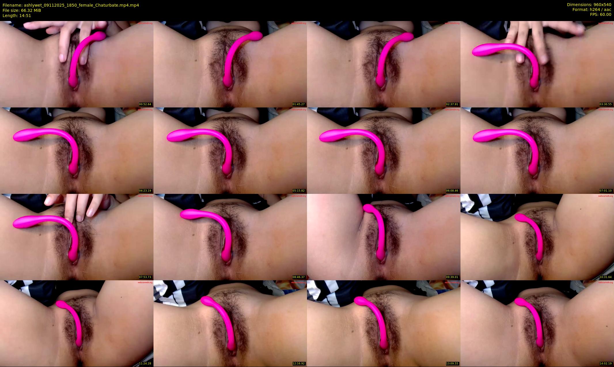 ashlywet — 15 minute Chaturbate female cam show recording, 480p, Nov 9, 2025