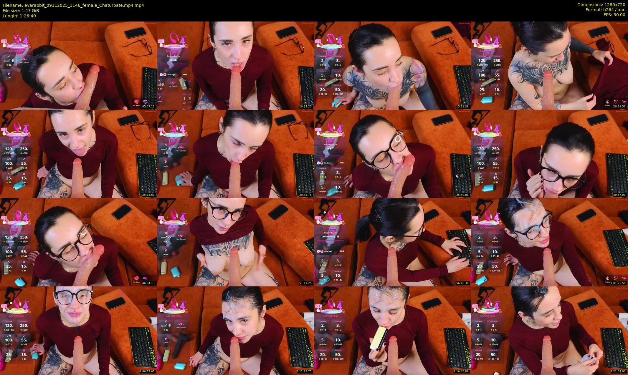 evarabbit — 87 minute Chaturbate female cam show recording, 720p, Nov 9, 2025