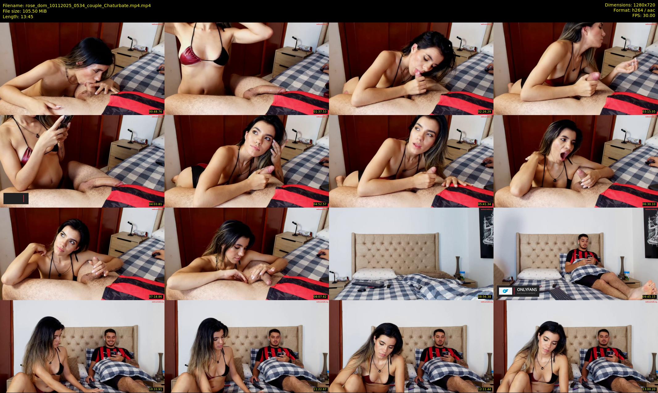 rose_dom — 14 minute Chaturbate couple cam show recording, 720p, Nov 10, 2025