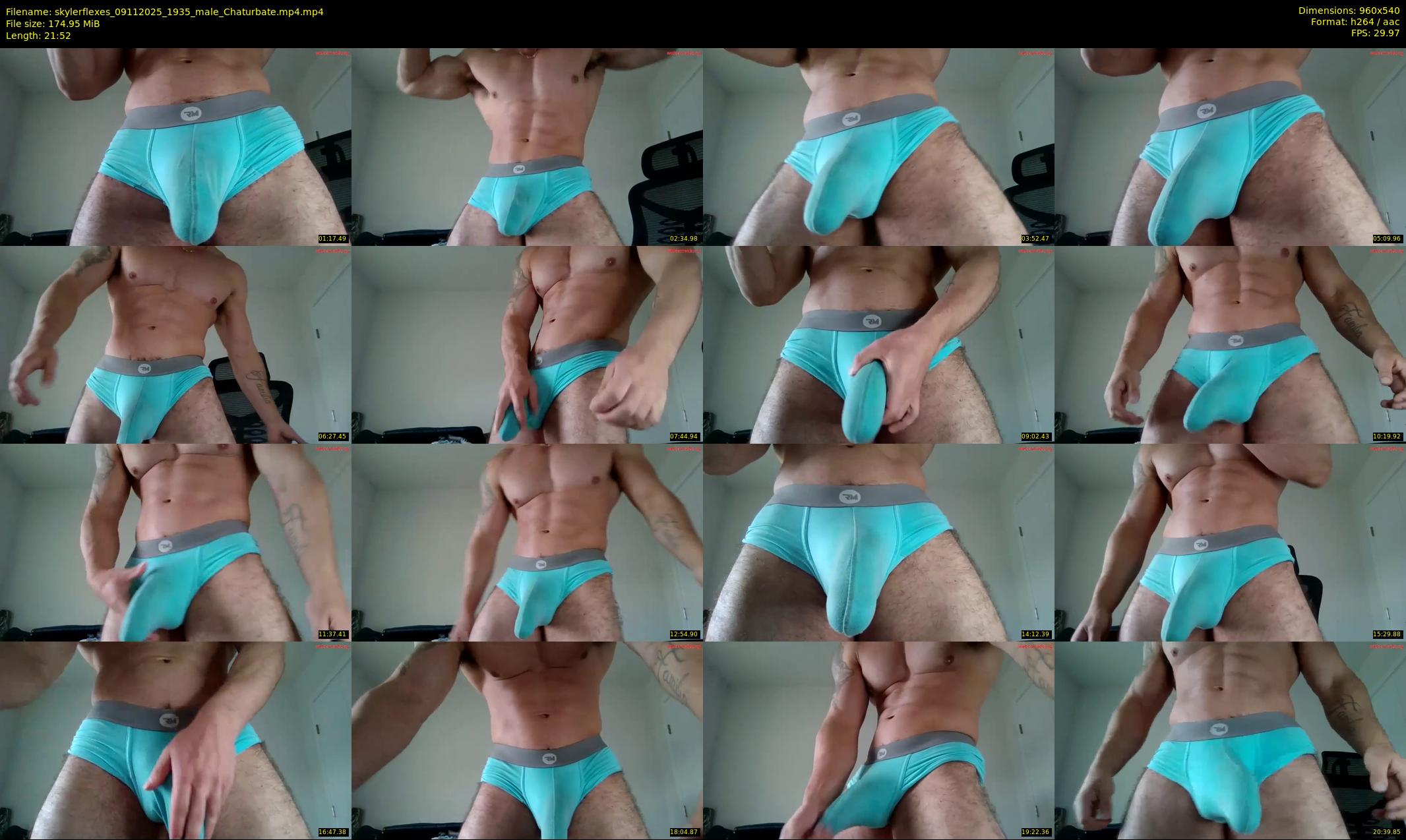 skylerflexes — 22 minute Chaturbate male cam show recording, 480p, Nov 9, 2025