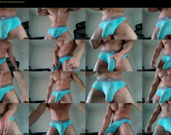 skylerflexes — 22 minute Chaturbate male cam show recording, 480p, Nov 9, 2025