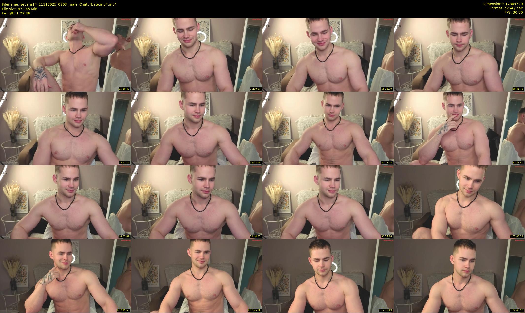 sevans14 — 88 minute Chaturbate male cam show recording, 720p, Nov 11, 2025