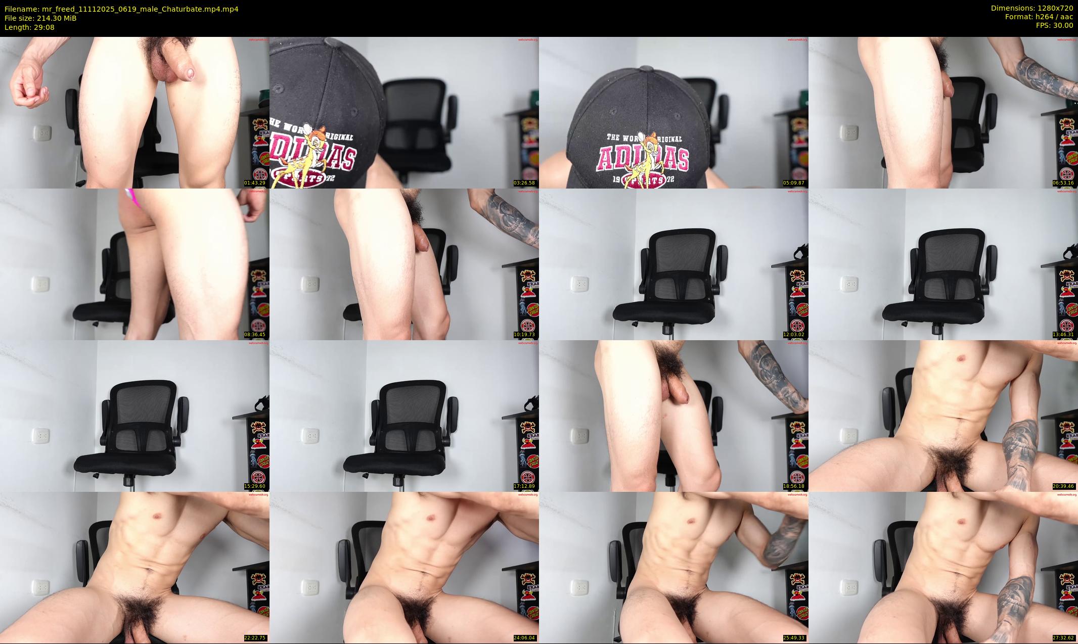 mr_freed — 30 minute Chaturbate male cam show recording, 720p, Nov 11, 2025
