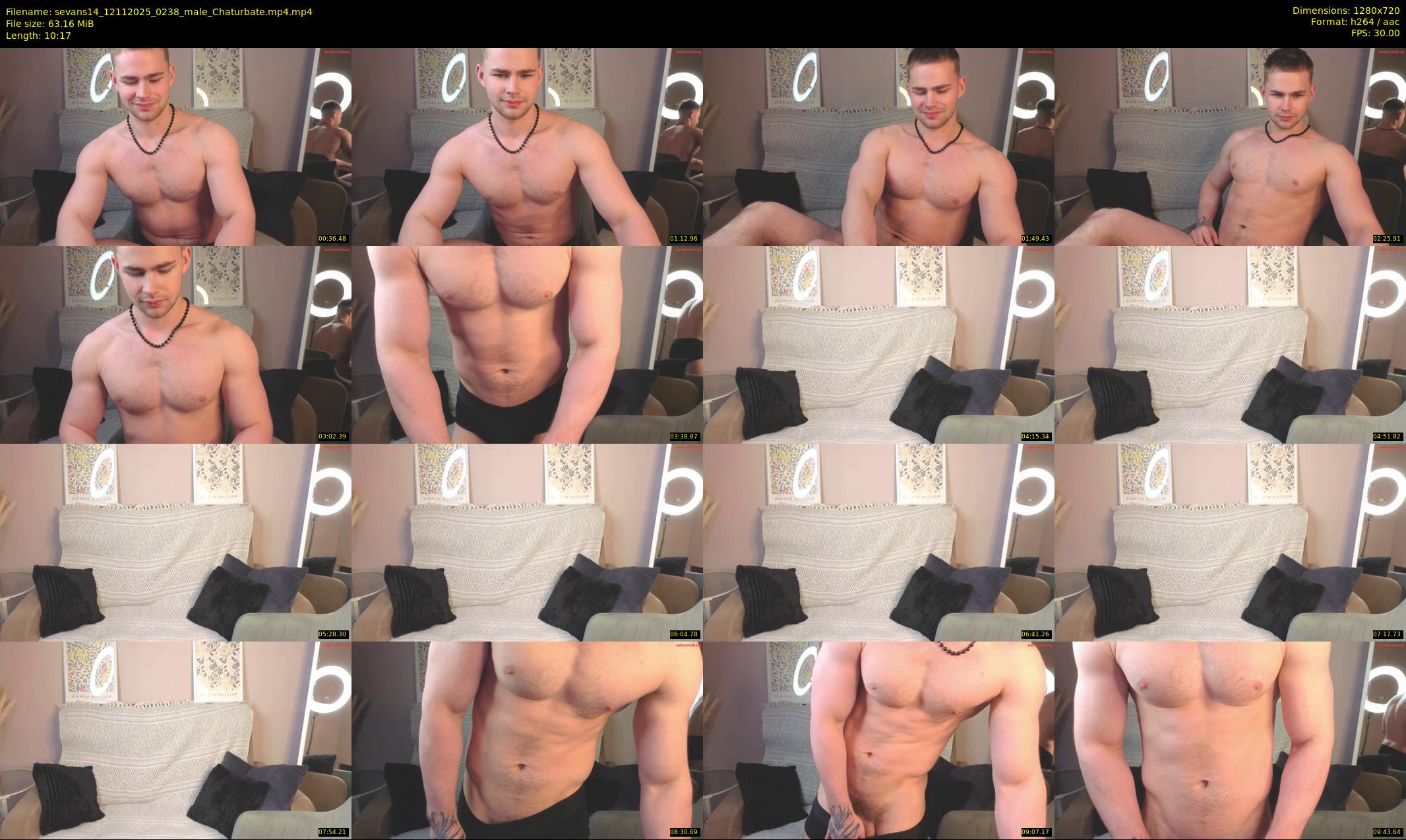sevans14 — 11 minute Chaturbate male cam show recording, 720p, Nov 12, 2025