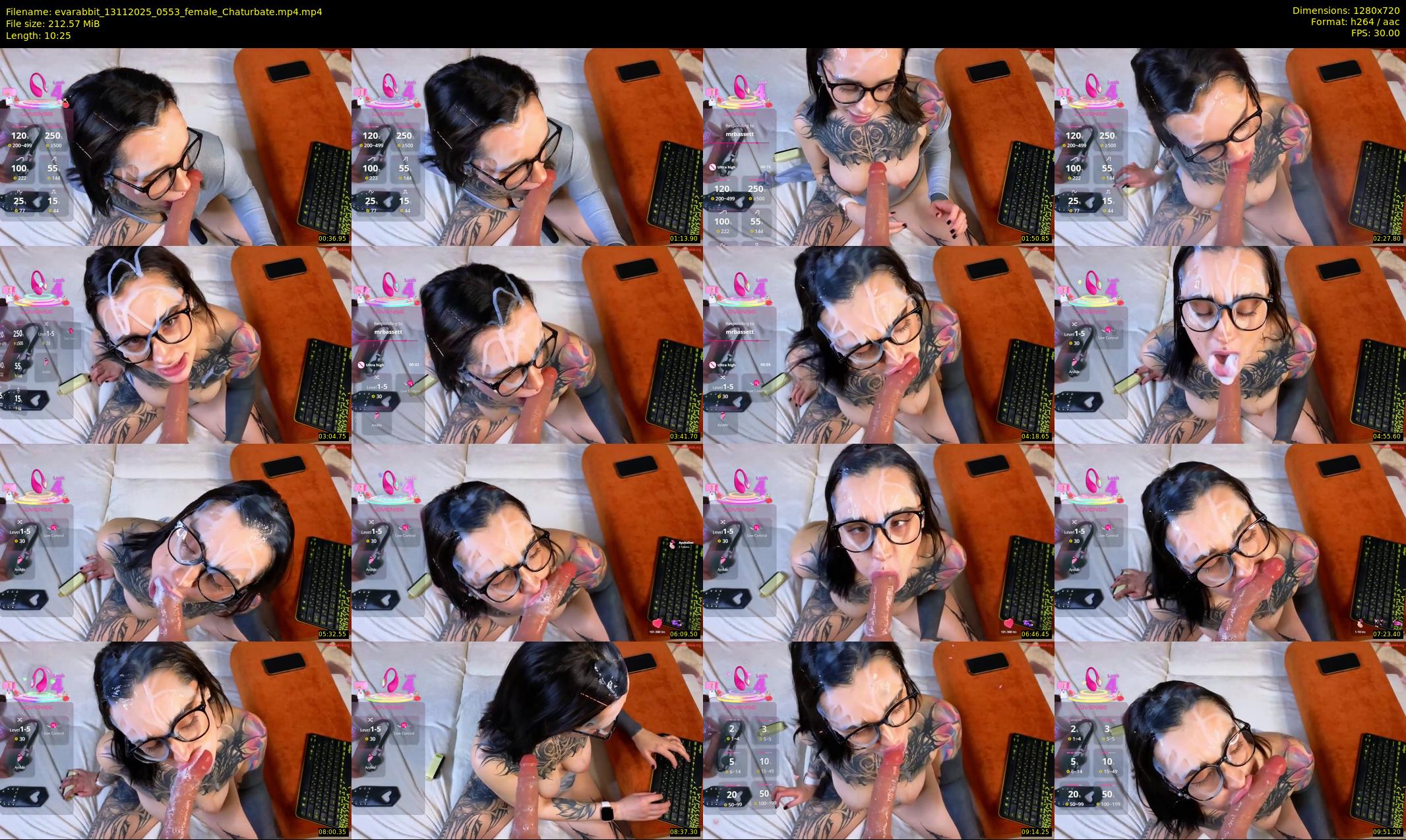 evarabbit — 11 minute Chaturbate female cam show recording, 720p, Nov 13, 2025
