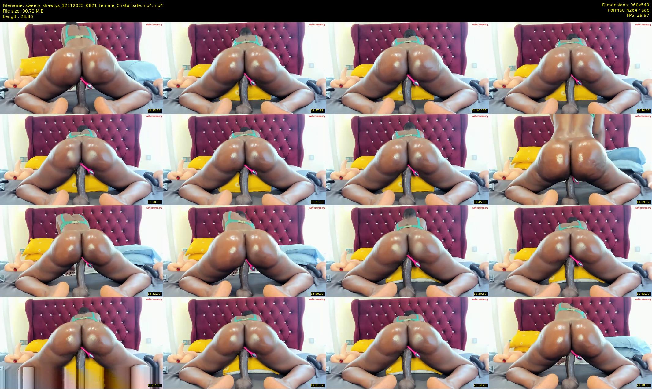 sweety_shawtys — 24 minute Chaturbate female cam show recording, 480p, Nov 12, 2025