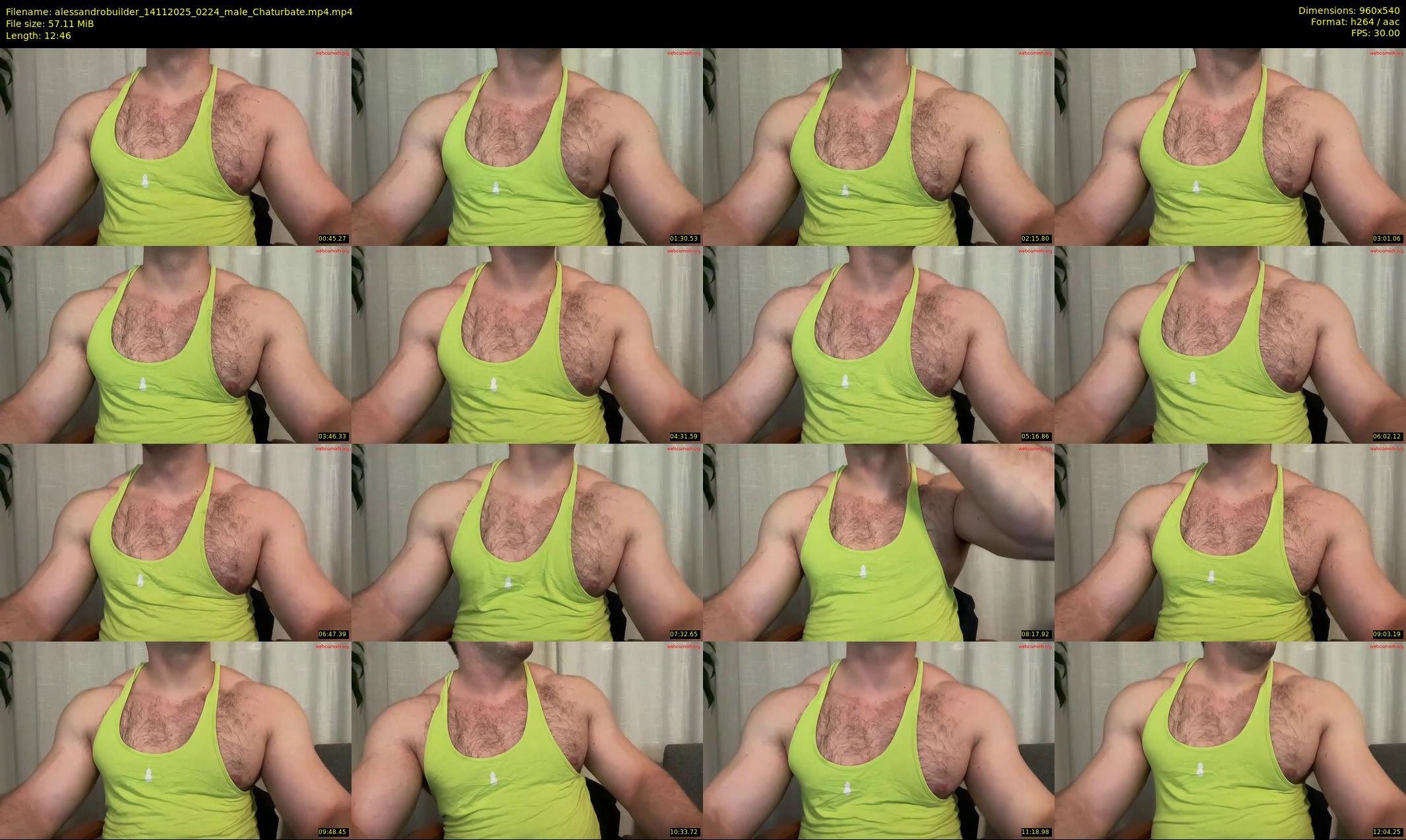 alessandrobuilder — 13 minute Chaturbate couple cam show recording, 480p, Nov 14, 2025