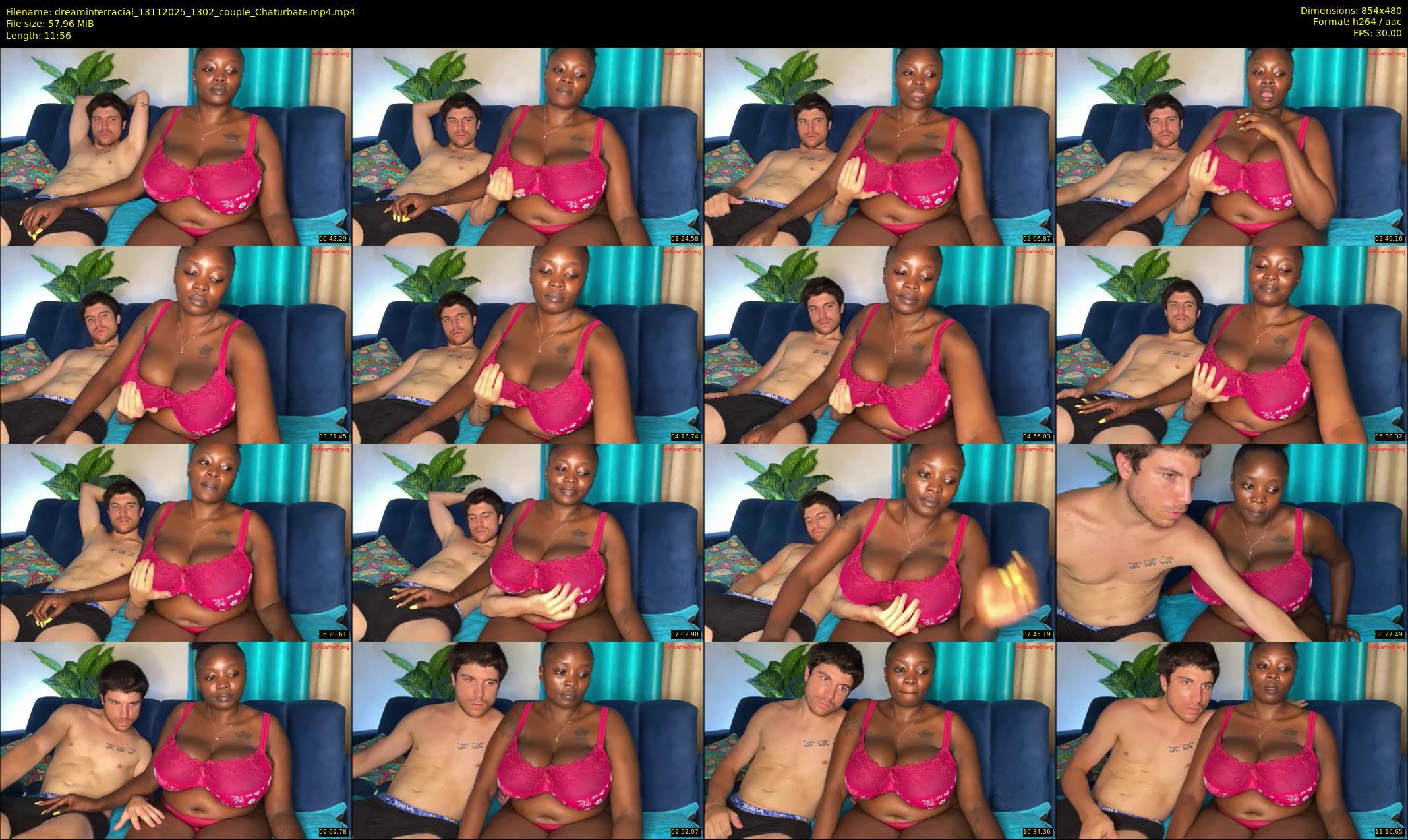 dreaminterracial — 12 minute Chaturbate couple cam show recording, 480p, Nov 13, 2025