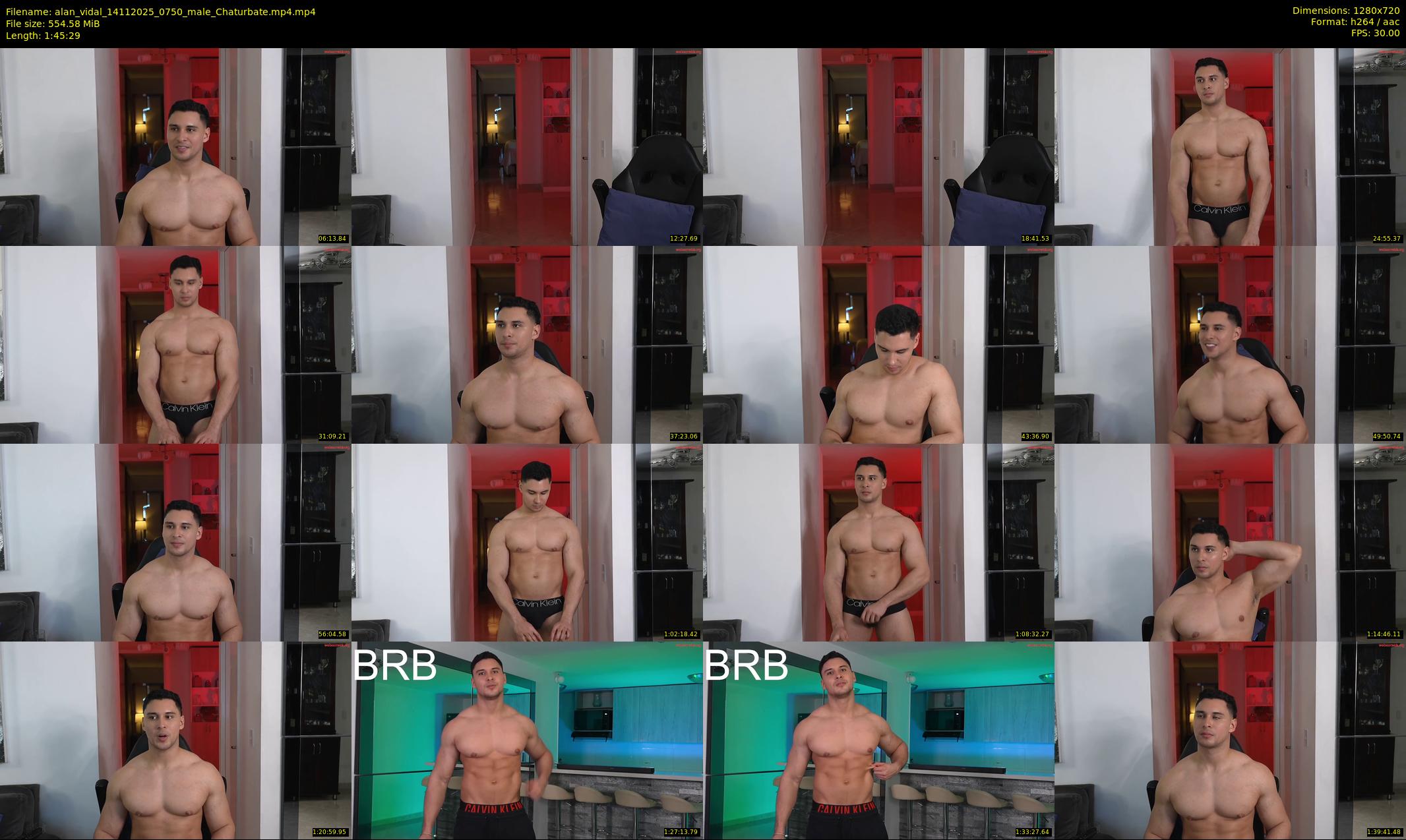 alan_vidal — 106 minute Chaturbate male cam show recording, 720p, Nov 14, 2025
