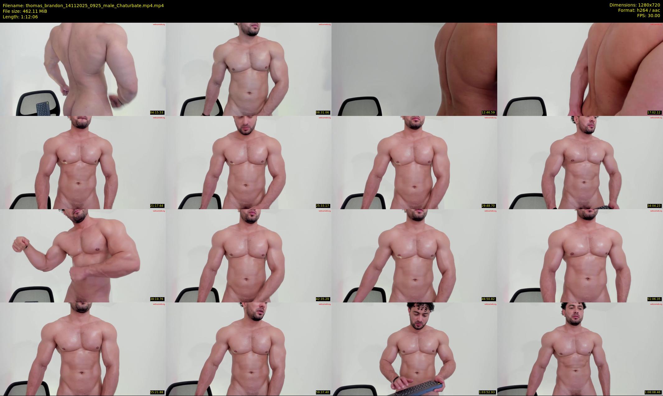 thomas_brandon — 73 minute Chaturbate male cam show recording, 720p, Nov 14, 2025