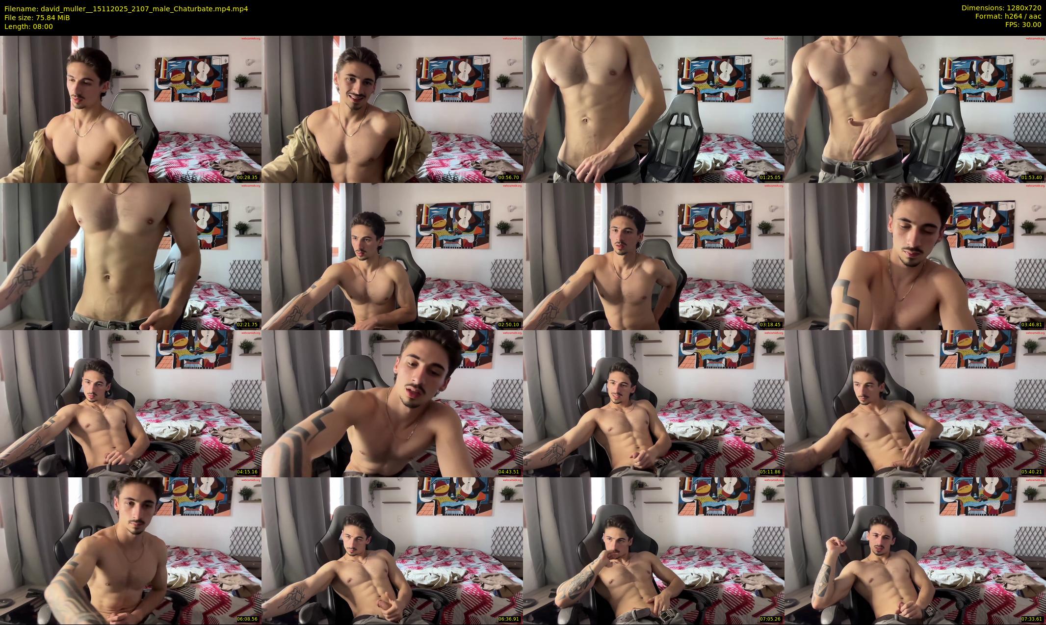 david_muller_ — 8 minute Chaturbate male cam show recording, 720p, Nov 15, 2025