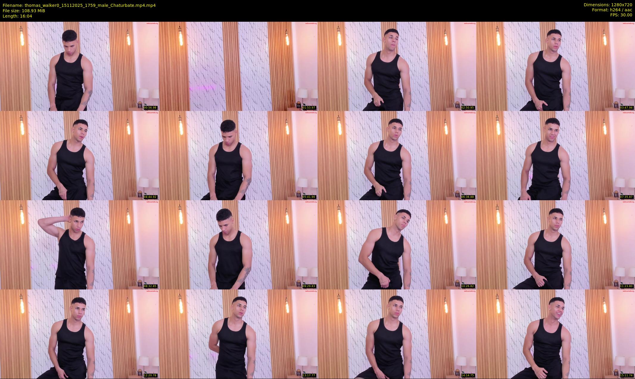 thomas_walker0 — 17 minute Chaturbate male cam show recording, 720p, Nov 15, 2025