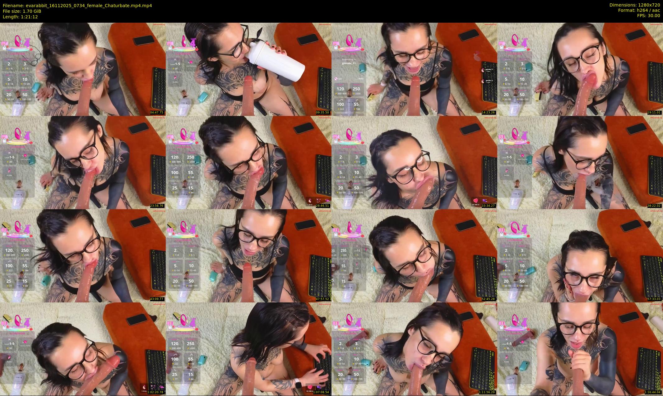 evarabbit — 82 minute Chaturbate female cam show recording, 720p, Nov 16, 2025