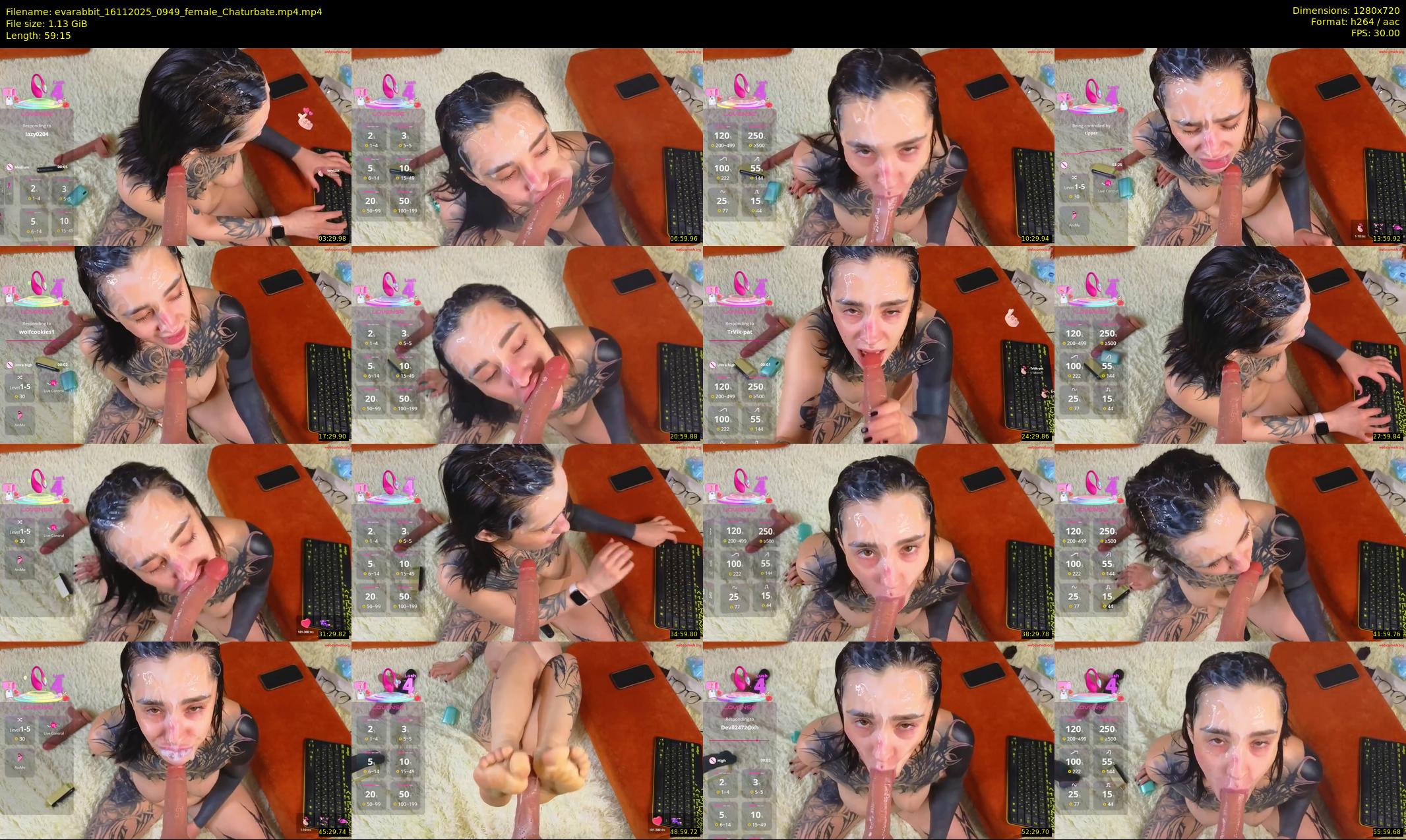 evarabbit — 60 minute Chaturbate female cam show recording, 720p, Nov 16, 2025