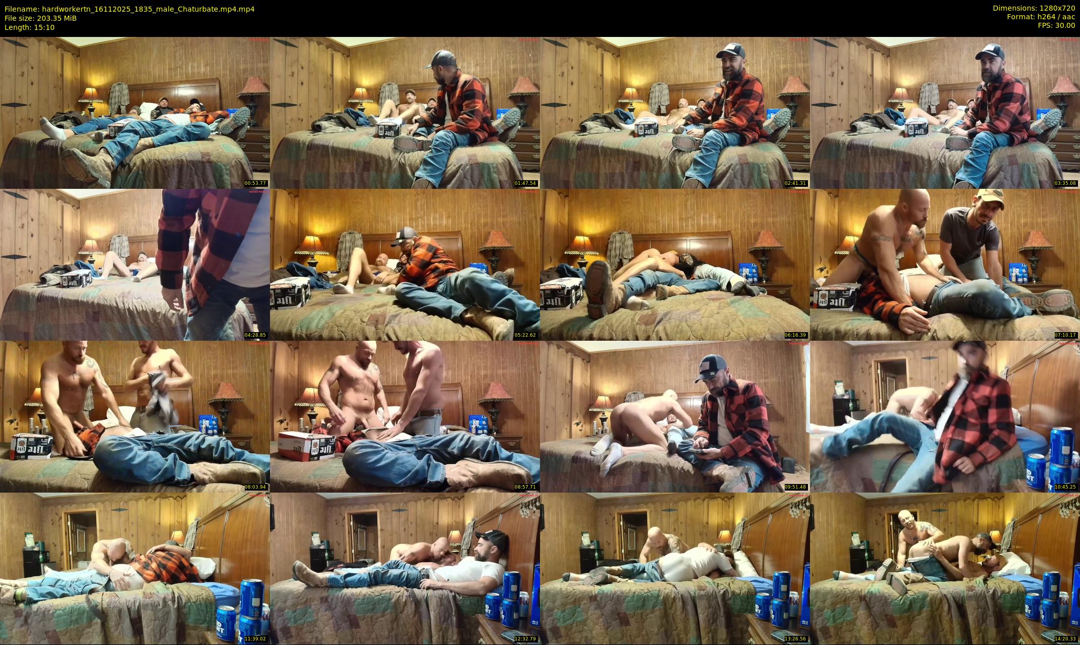 hardworkertn — 16 minute Chaturbate male cam show recording, 720p, Nov 16, 2025