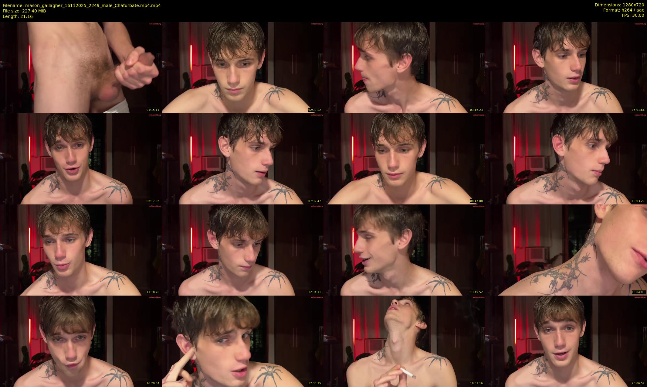 mason_gallagher — 22 minute Chaturbate male cam show recording, 720p, Nov 16, 2025