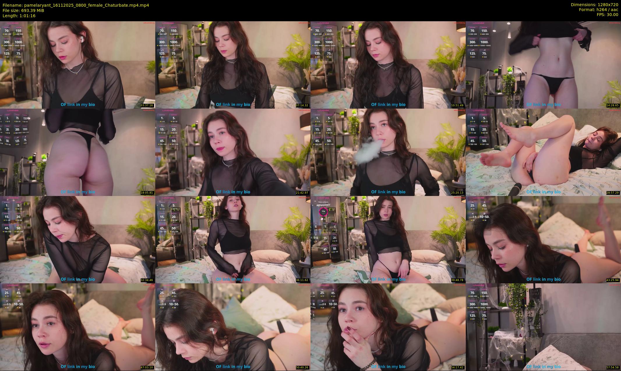 pamelaryant — 62 minute Chaturbate female cam show recording, 720p, Nov 16, 2025