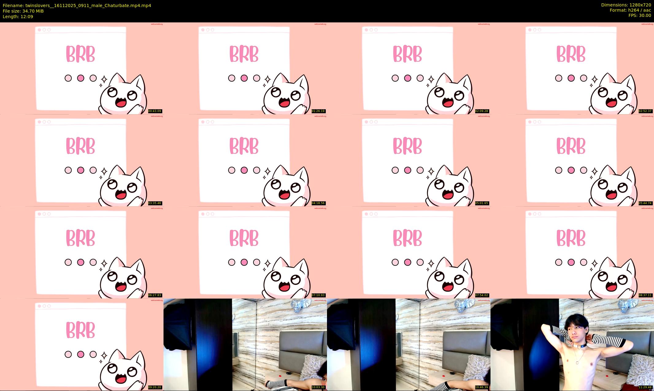 twinslovers_ — 13 minute Chaturbate couple cam show recording, 720p, Nov 16, 2025