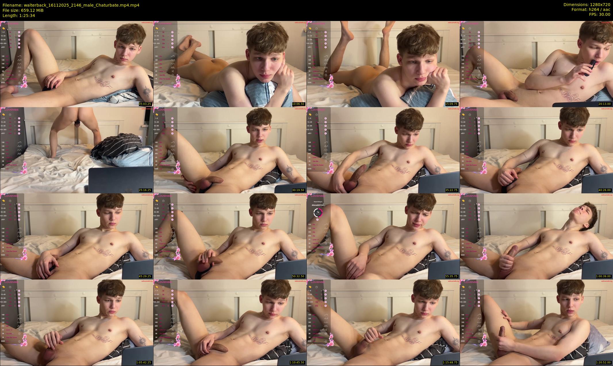 walterback — 86 minute Chaturbate male cam show recording, 720p, Nov 16, 2025