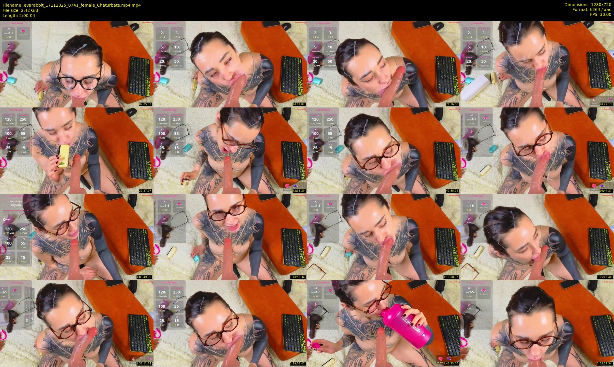evarabbit — 121 minute Chaturbate female cam show recording, 720p, Nov 17, 2025