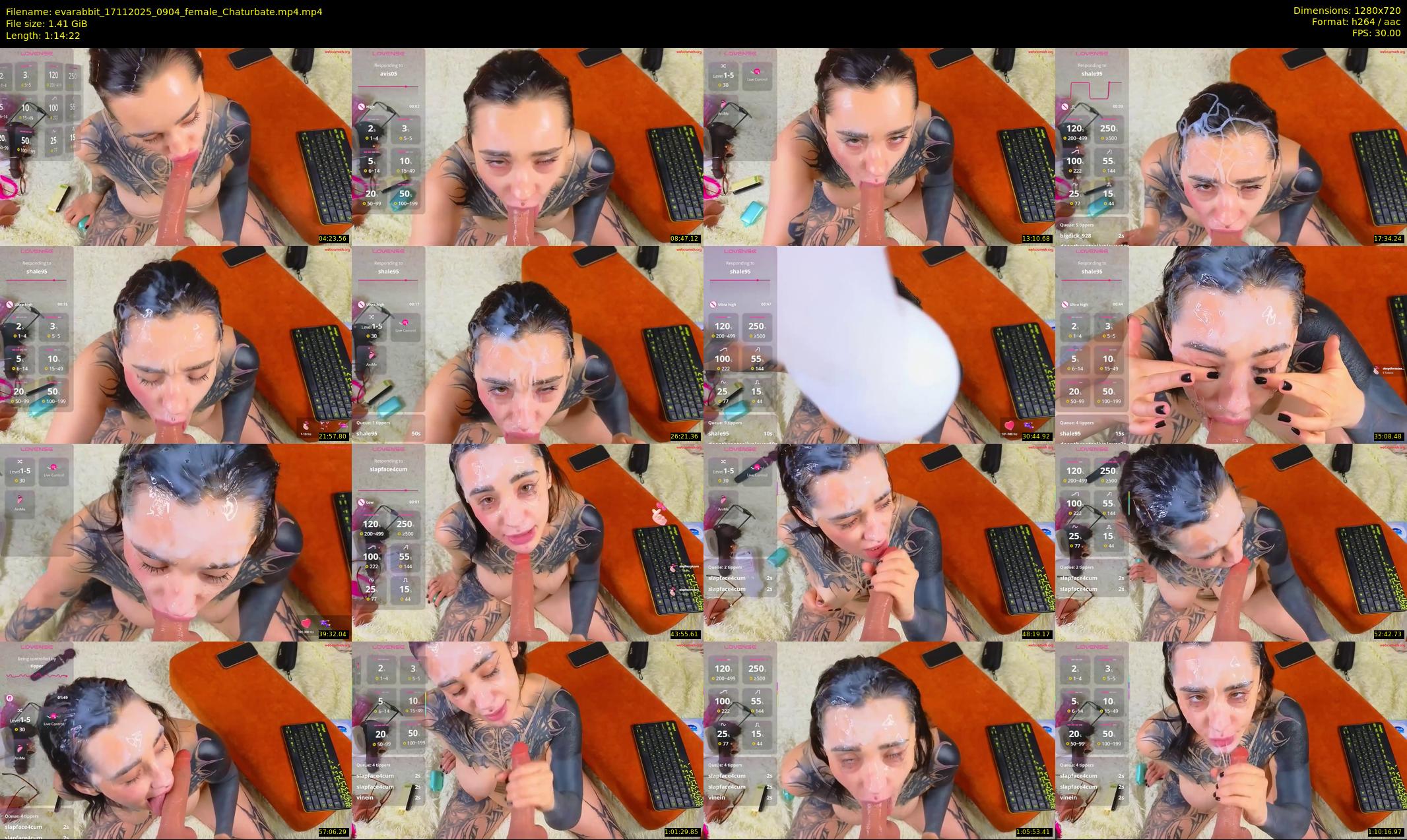 evarabbit — 75 minute Chaturbate female cam show recording, 720p, Nov 17, 2025