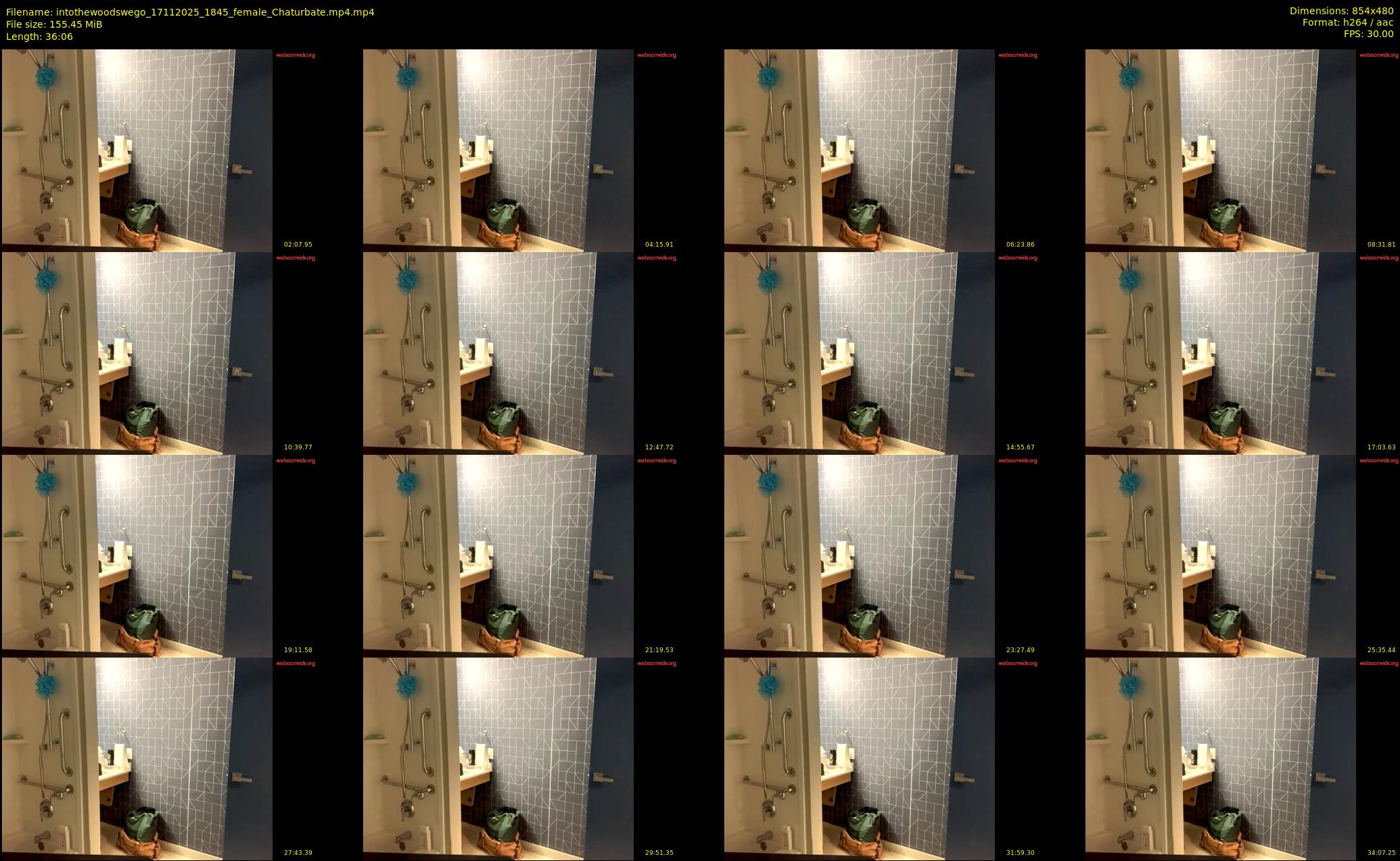 intothewoodswego — 37 minute Chaturbate female cam show recording, 480p, Nov 17, 2025