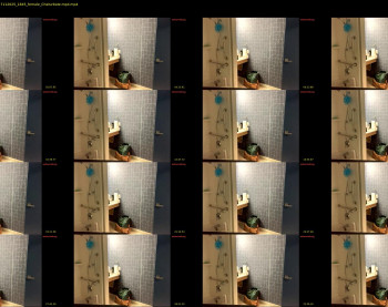 intothewoodswego — 37 minute Chaturbate female cam show recording, 480p, Nov 17, 2025