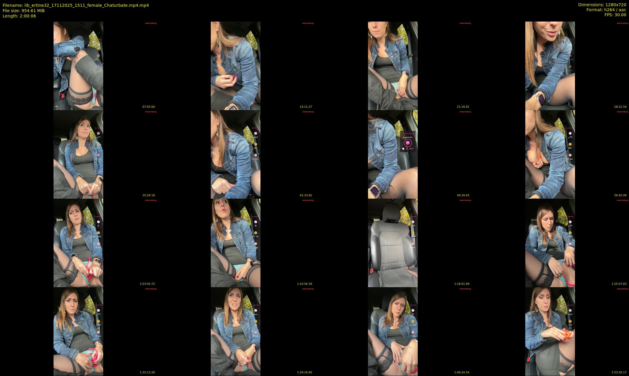 lib_ertine32 — 121 minute Chaturbate female cam show recording, 720p, Nov 17, 2025