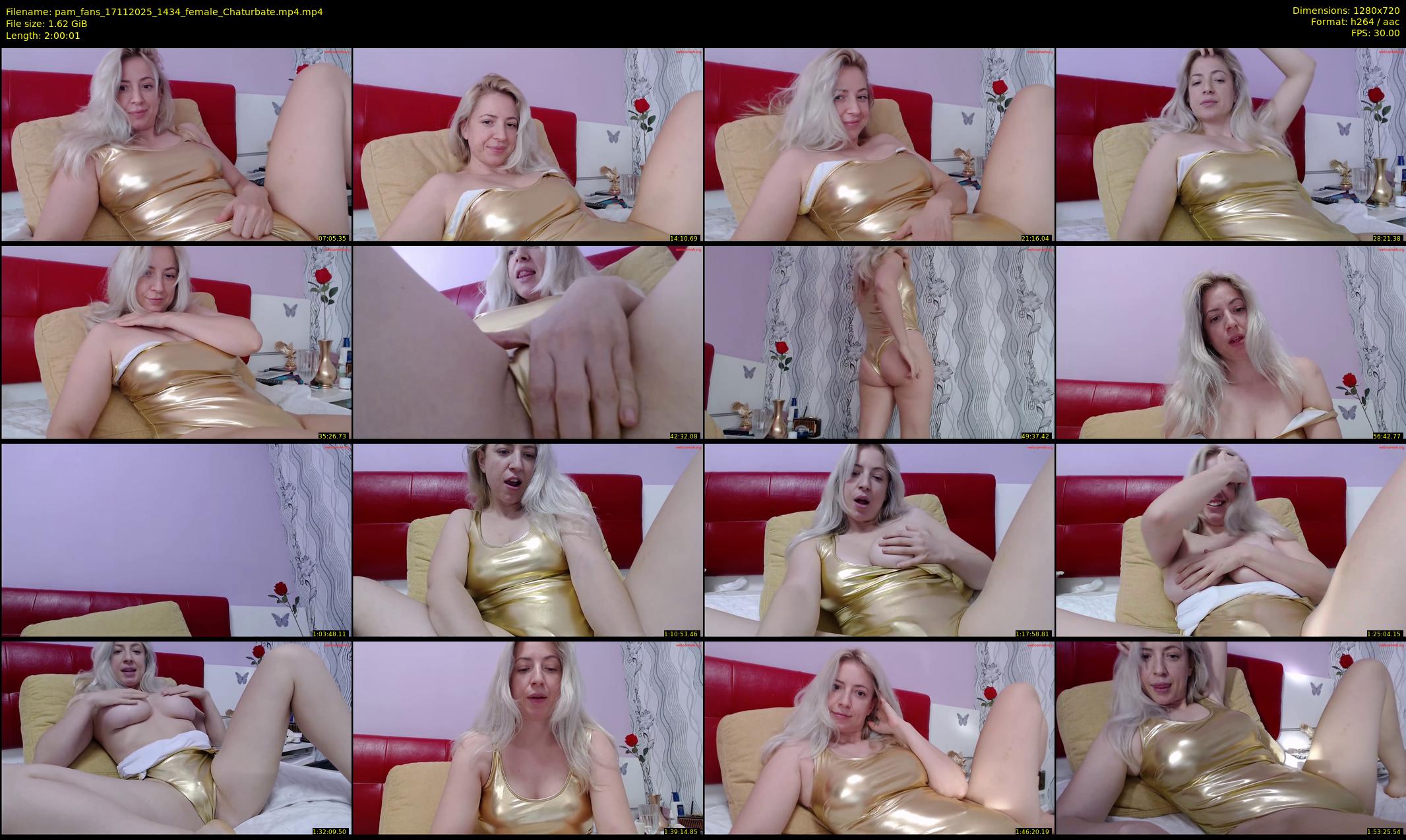 pam_fans — 121 minute Chaturbate female cam show recording, 720p, Nov 17, 2025