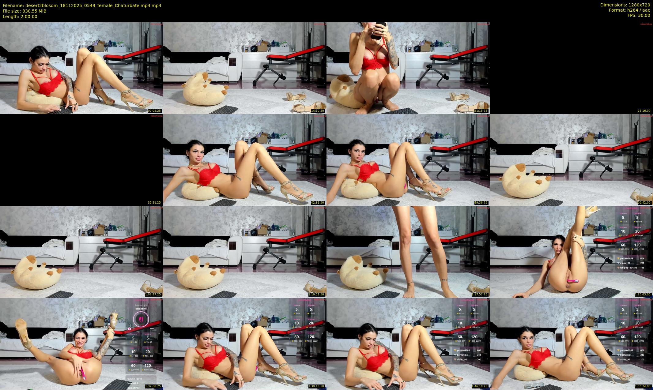 desert2blosom — 120 minute Chaturbate female cam show recording, 720p, Nov 18, 2025