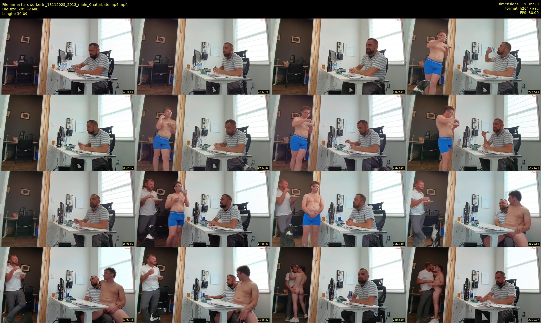 hardworkertn — 31 minute Chaturbate male cam show recording, 720p, Nov 18, 2025