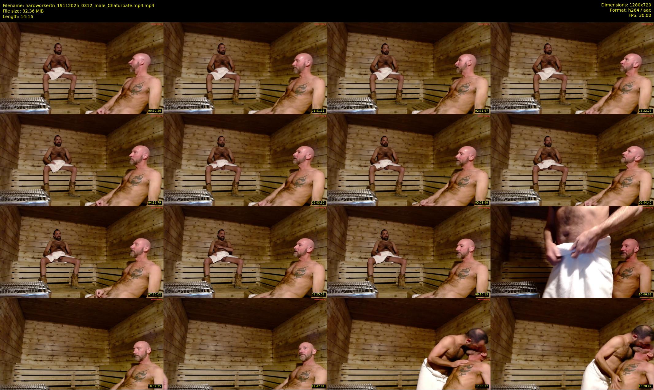 hardworkertn — 15 minute Chaturbate male cam show recording, 720p, Nov 19, 2025