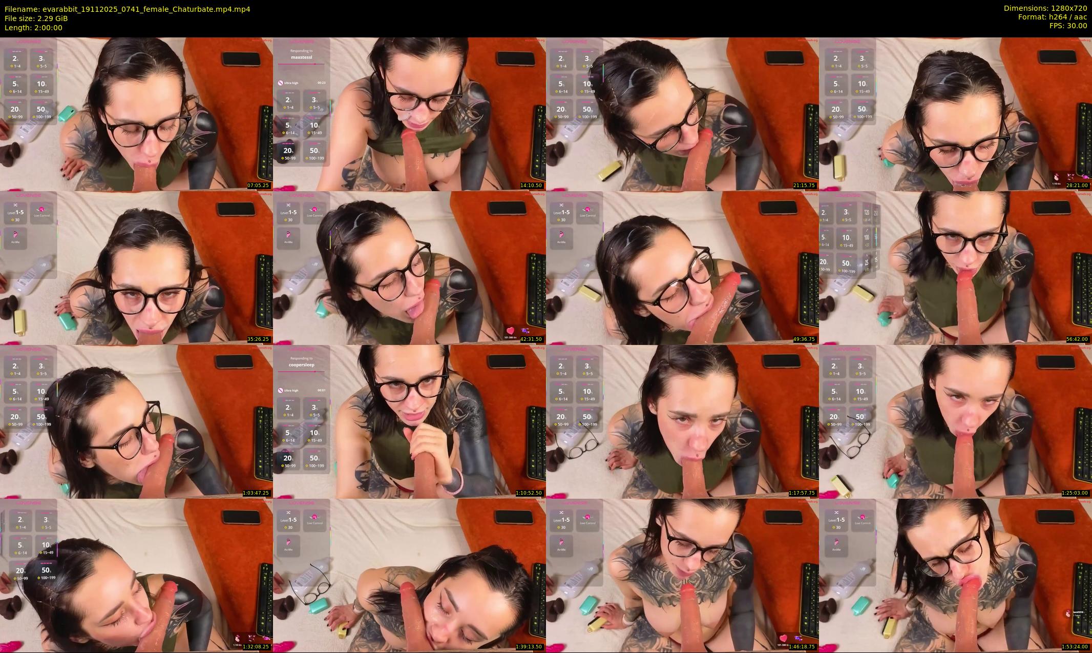 evarabbit — 120 minute Chaturbate female cam show recording, 720p, Nov 19, 2025