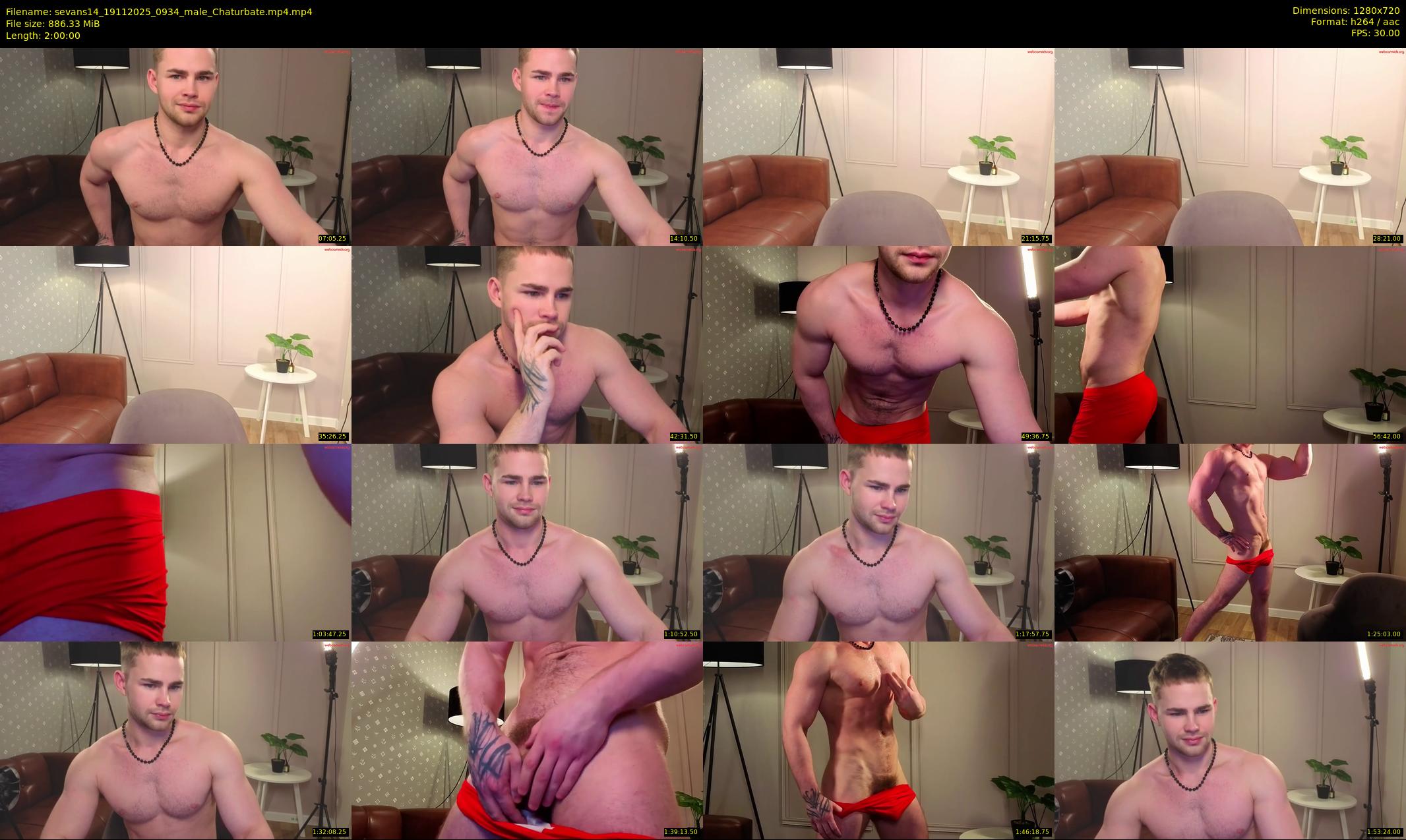 sevans14 — 120 minute Chaturbate male cam show recording, 720p, Nov 19, 2025