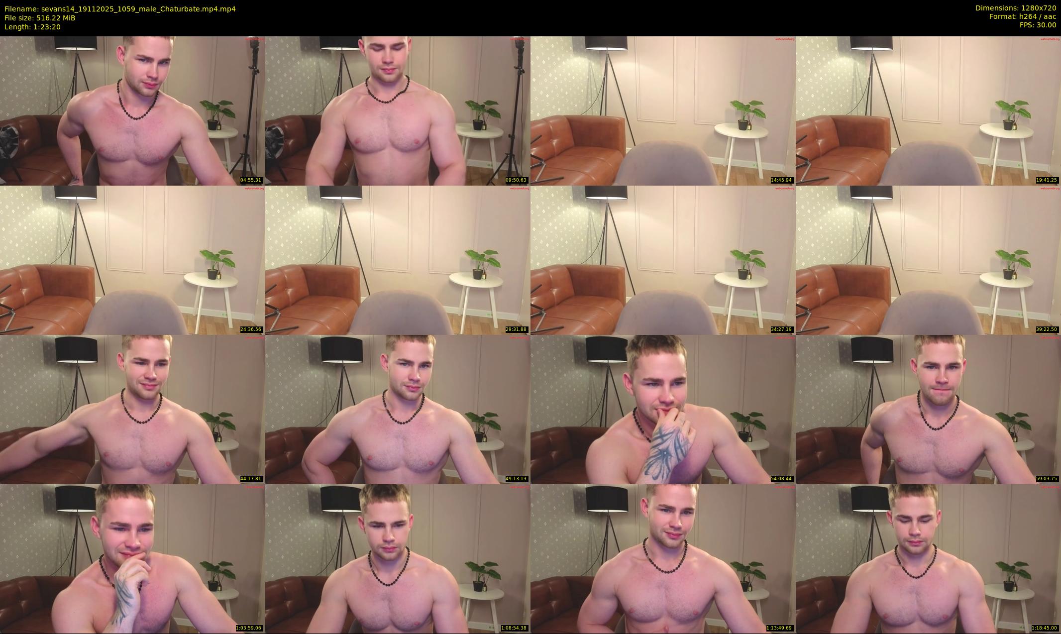 sevans14 — 84 minute Chaturbate male cam show recording, 720p, Nov 19, 2025