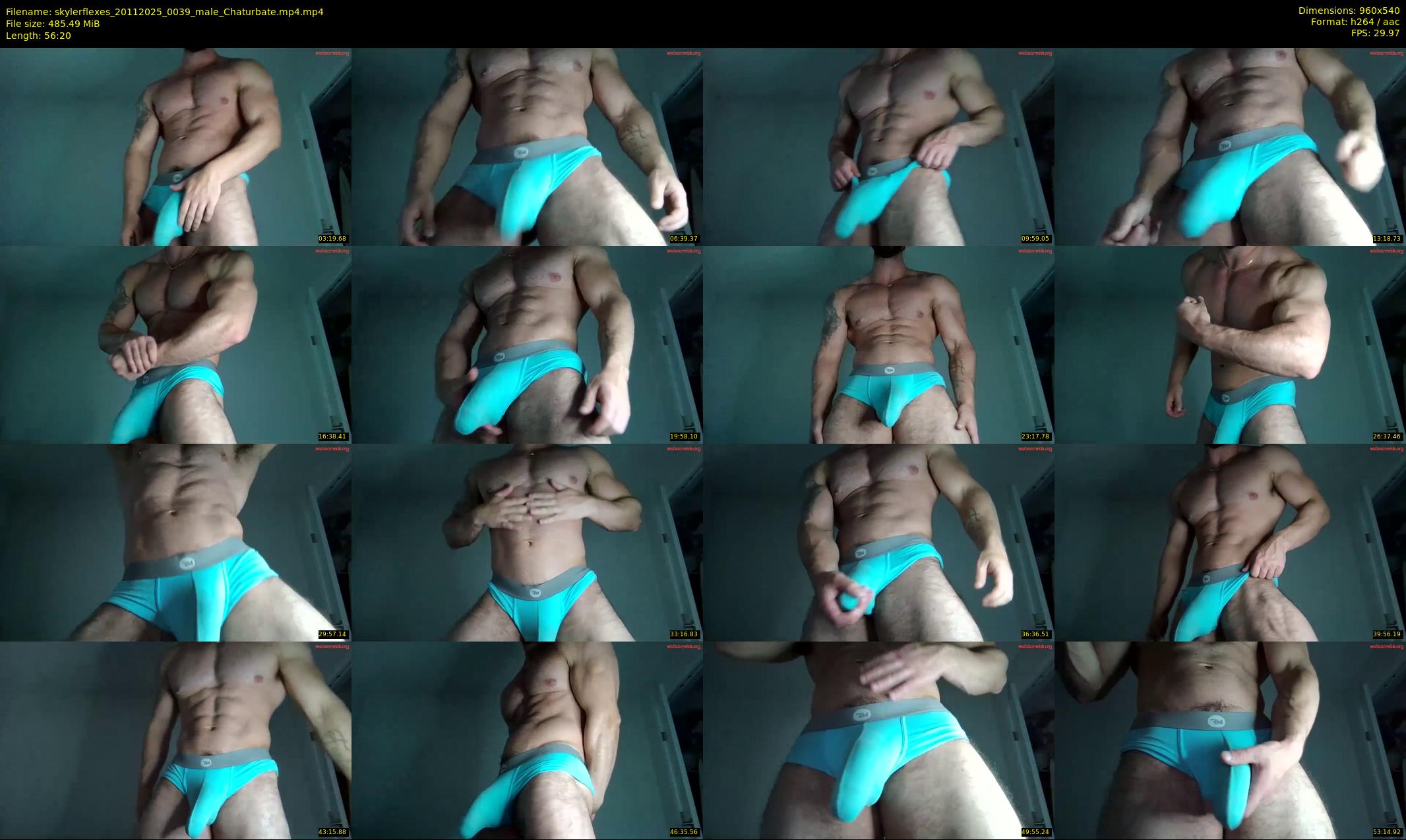 skylerflexes — 57 minute Chaturbate male cam show recording, 480p, Nov 20, 2025