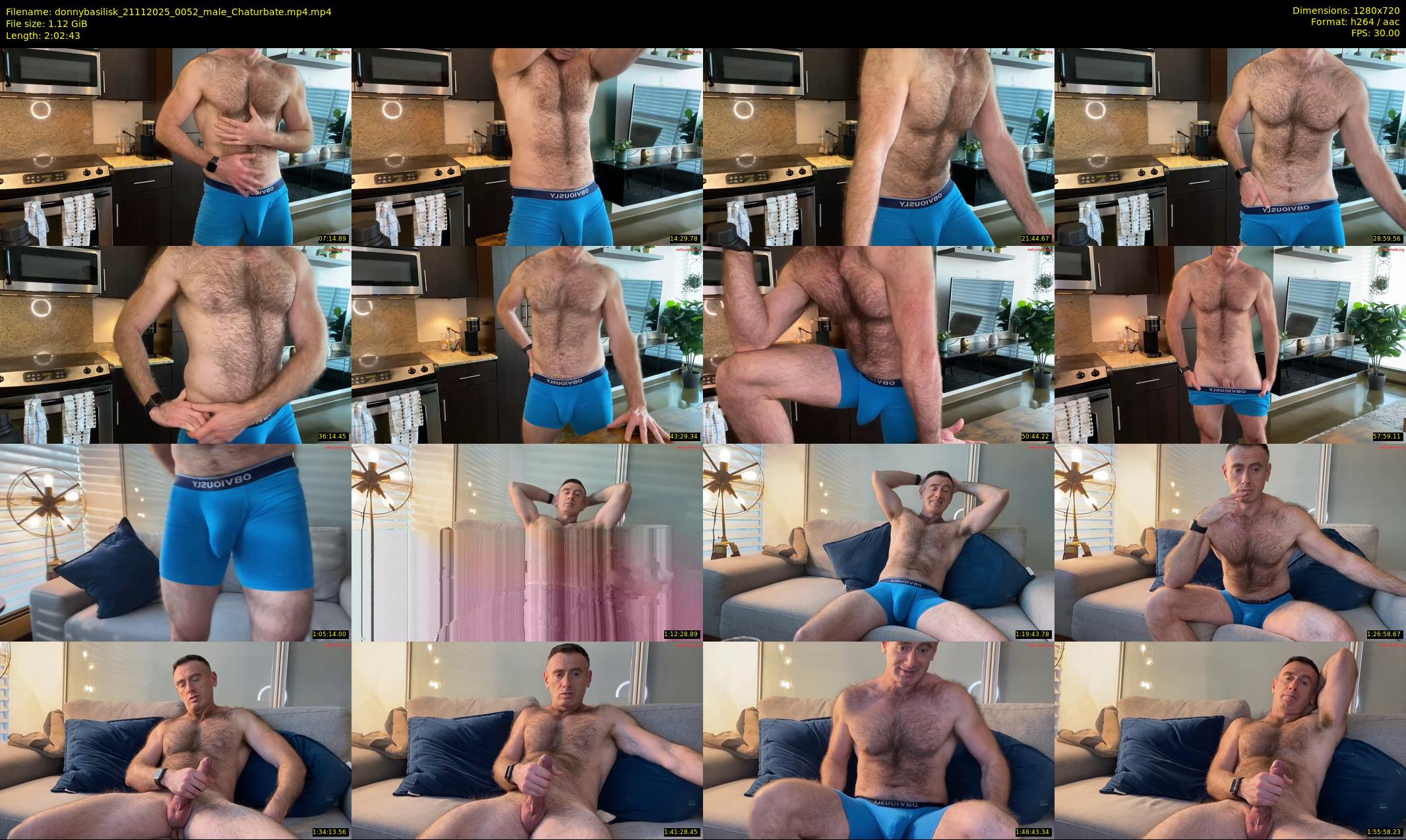 donnybasilisk — 123 minute Chaturbate male cam show recording, 720p, Nov 21, 2025