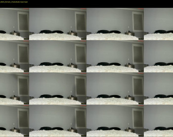 alexajefferies — 43 minute Chaturbate female cam show recording, 480p, Nov 21, 2025