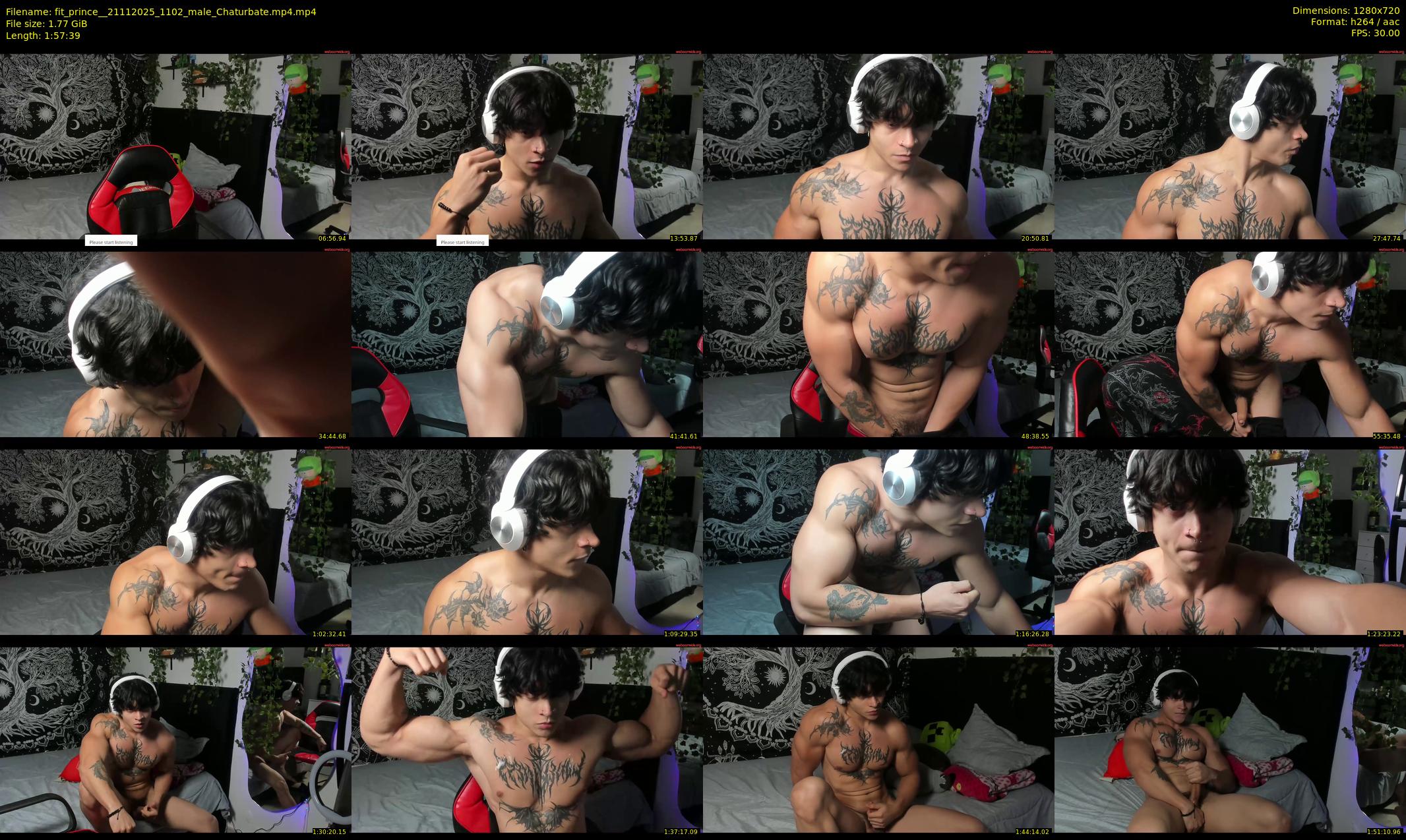fit_prince_ — 118 minute Chaturbate male cam show recording, 720p, Nov 21, 2025
