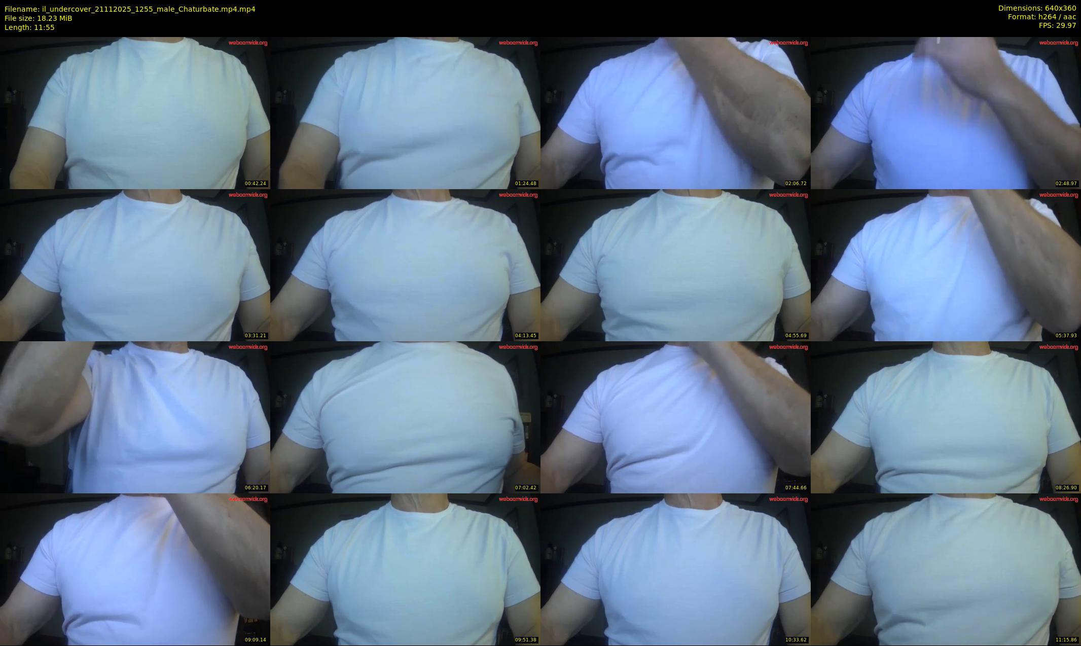 il_undercover — 12 minute Chaturbate male cam show recording, 360p, Nov 21, 2025