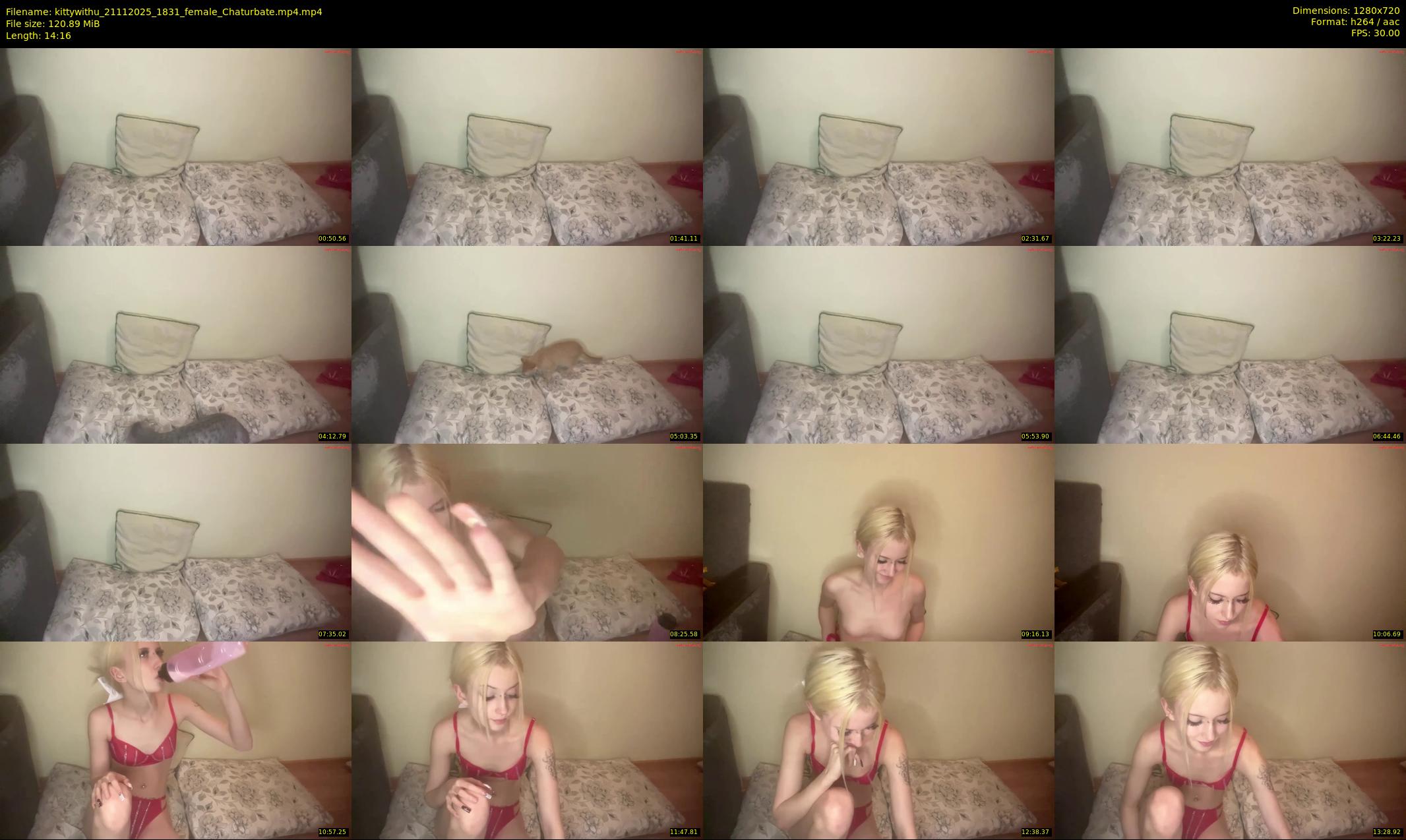 kittywithu — 15 minute Chaturbate female cam show recording, 720p, Nov 21, 2025
