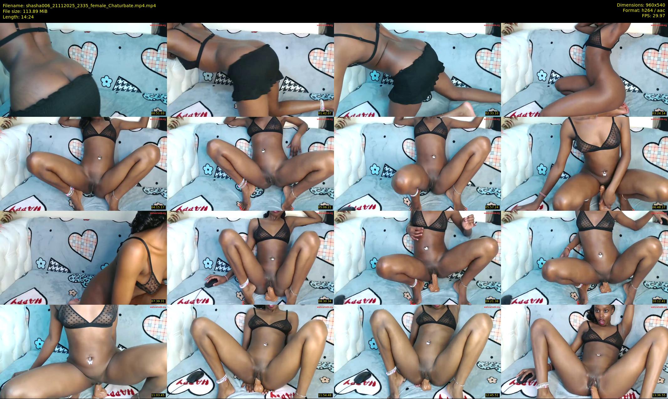 shasha006 — 15 minute Chaturbate female cam show recording, 480p, Nov 21, 2025