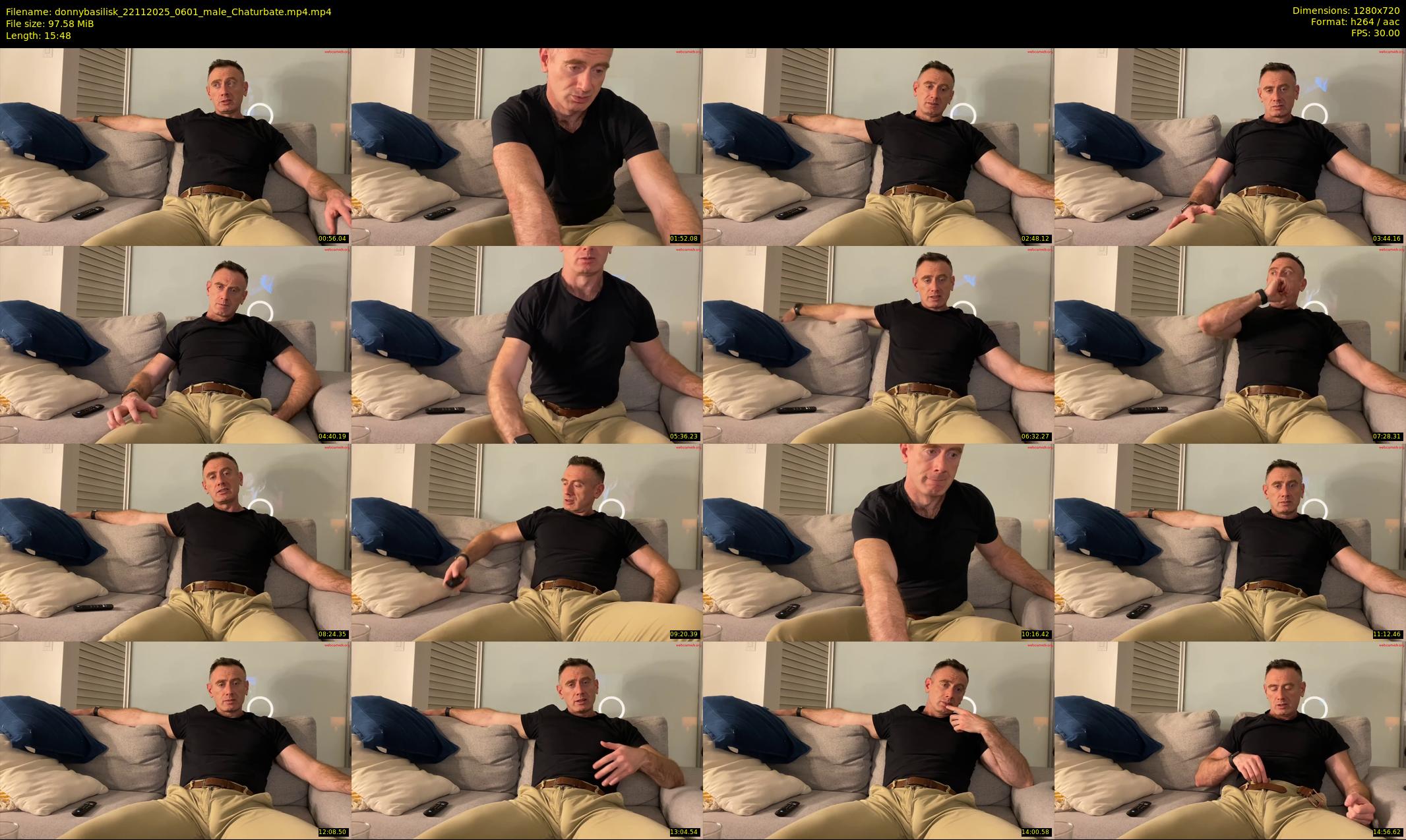 donnybasilisk — 16 minute Chaturbate male cam show recording, 720p, Nov 22, 2025